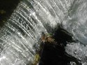 028 Waterfall Bakewell DSCN3494.JPG